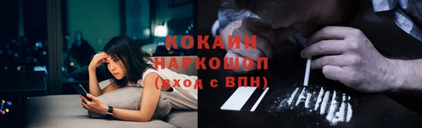 стаф Абинск