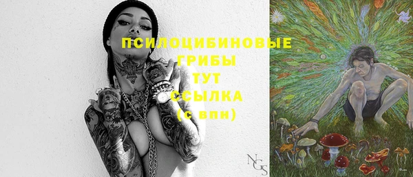стаф Абинск